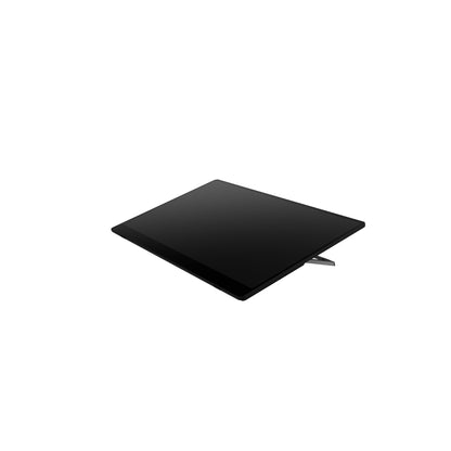 Ricoh 150BW Mobiler OLED-Monitor mit Touchscreen