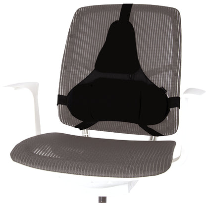 Fellowes Ergonomics professional back support pillow