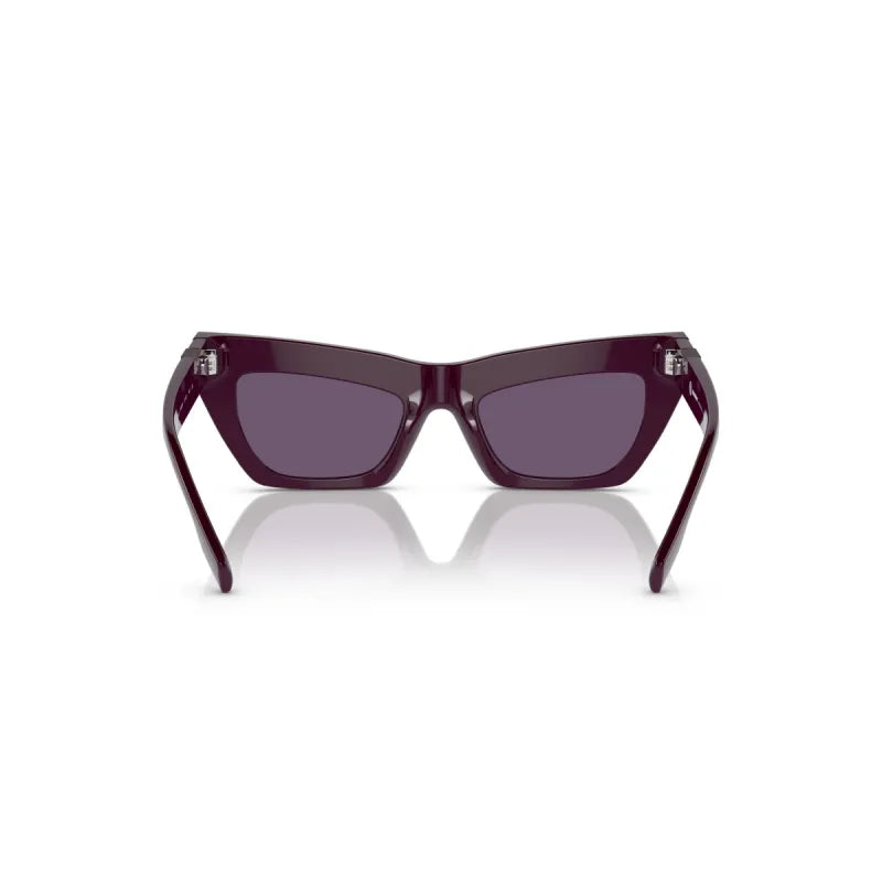 Γυαλιά Ηλίου BURBERRY BE4405/34001A/51 - Γυναικείο