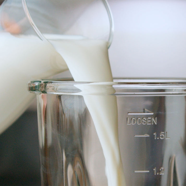 Taurus OPTIMA GO 1500 jug blender