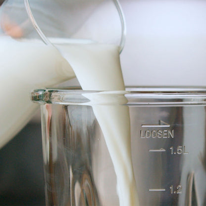 Taurus OPTIMA GO 1500 jug blender