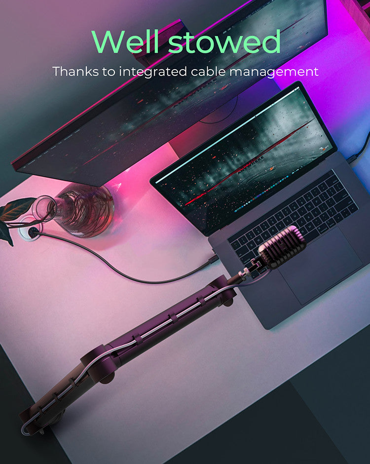 IcyBox Professional Microphone Arm with Desk Clamp