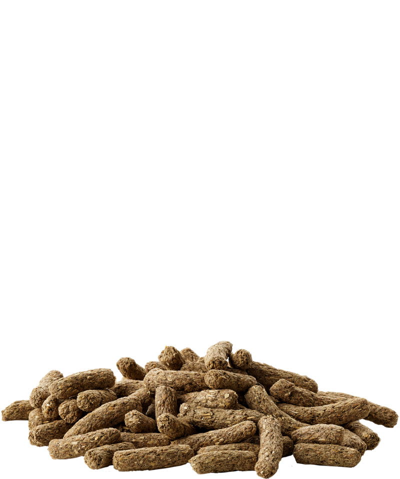 VERSELE LAGA Complete Cavia - Guinea pig food - 8  kg