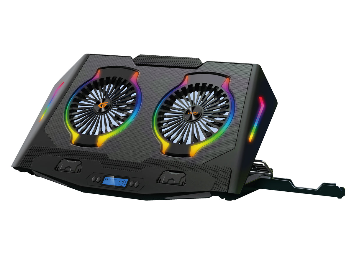 CONCEPTRONIC 2-Fan USB-A2.0 Laptop-Kühlpad 40Kg RGB   17" sw