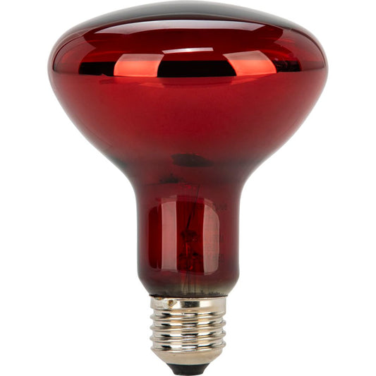 Λάμπα Εναλλακτική Beurer για Κόκκινο Φως και Υπέρυθρες Λάμπες