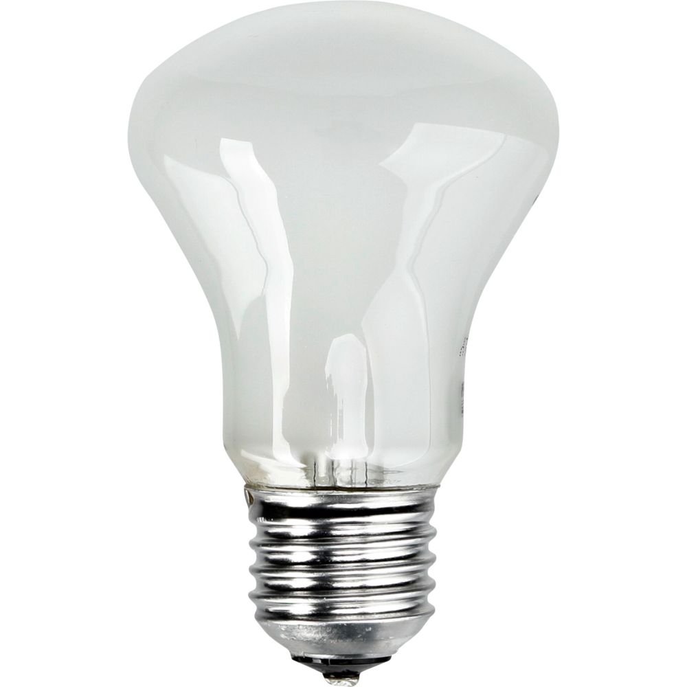 Elinchrom Adjustment Light 196V/100W E27