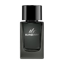 Burberry Mr. Burberry EDP M 100 ml Tester