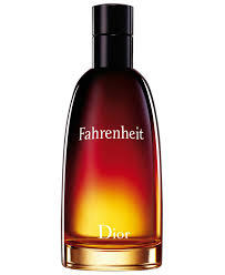 Dior Fahrenheit Eau De Toilette 100 ml (man)