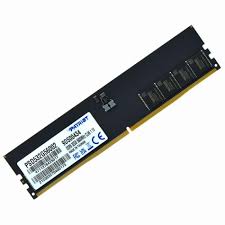 Patriot Memory Signature PSD532G56002 memory module 32 GB 1 x 32 GB DDR5 5600 MHz