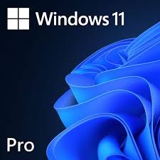 Microsoft Windows 11 Pro OEM