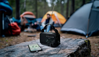 Philips TAR1609/00 Kurbelradio/Notfallradio