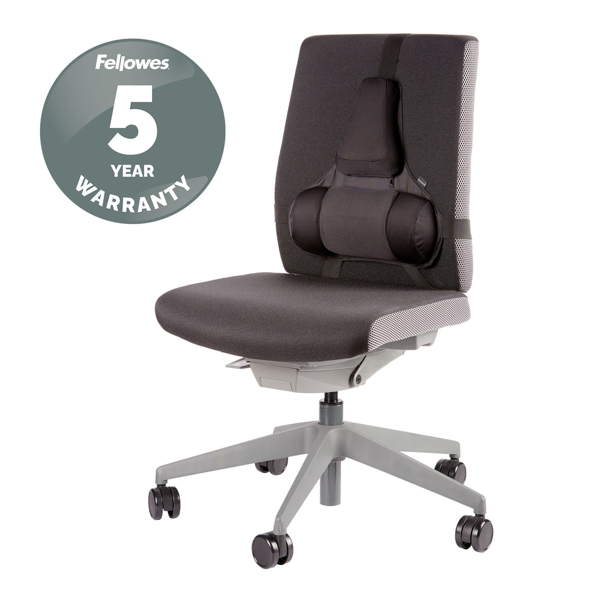 Fellowes Ergonomics professional back support pillow