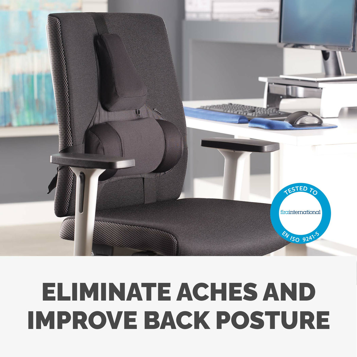 Fellowes Ergonomics professional back support pillow