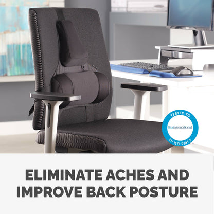 Fellowes Ergonomics professional back support pillow