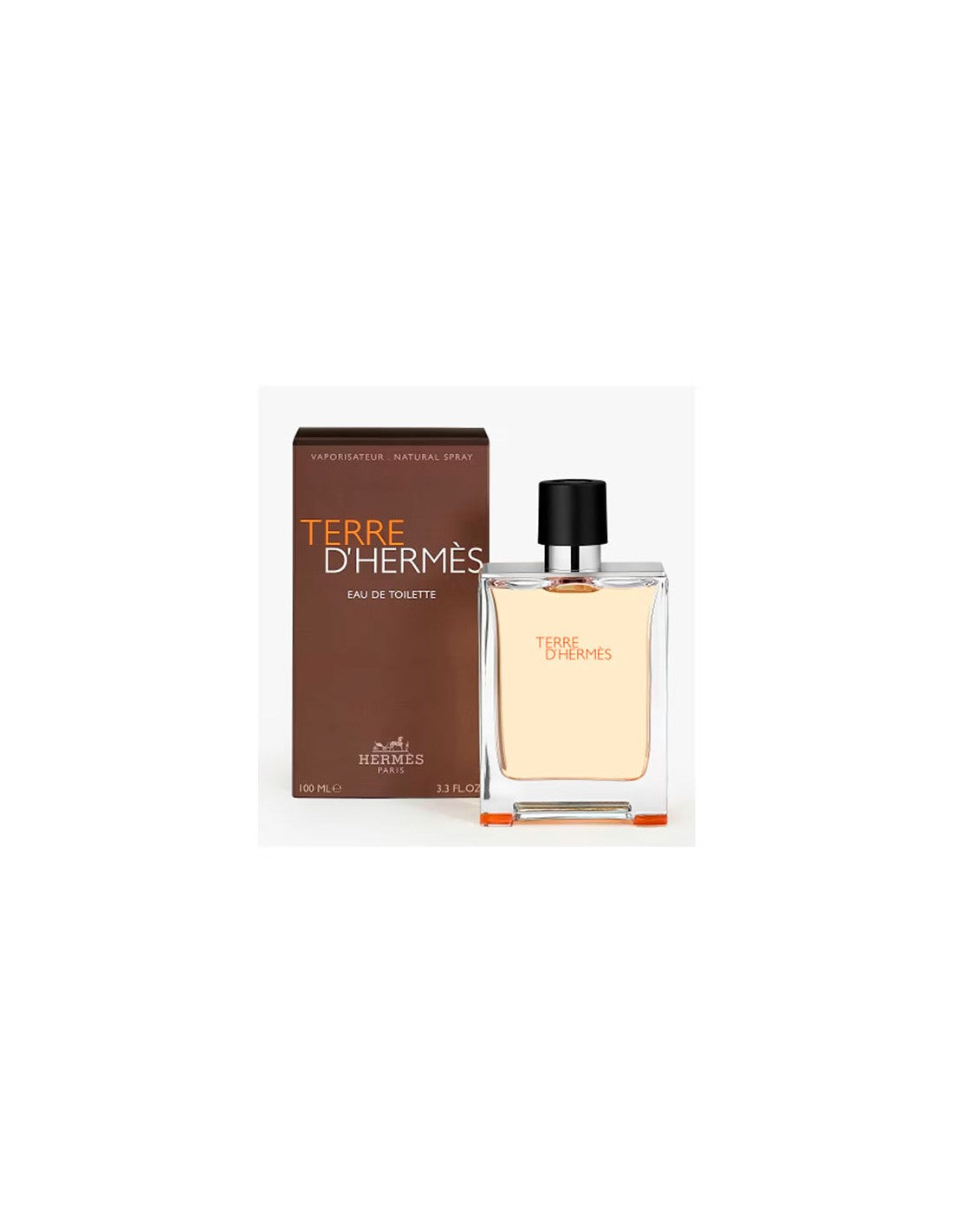 HERMES TERRE EDT SPRAY 100 ML