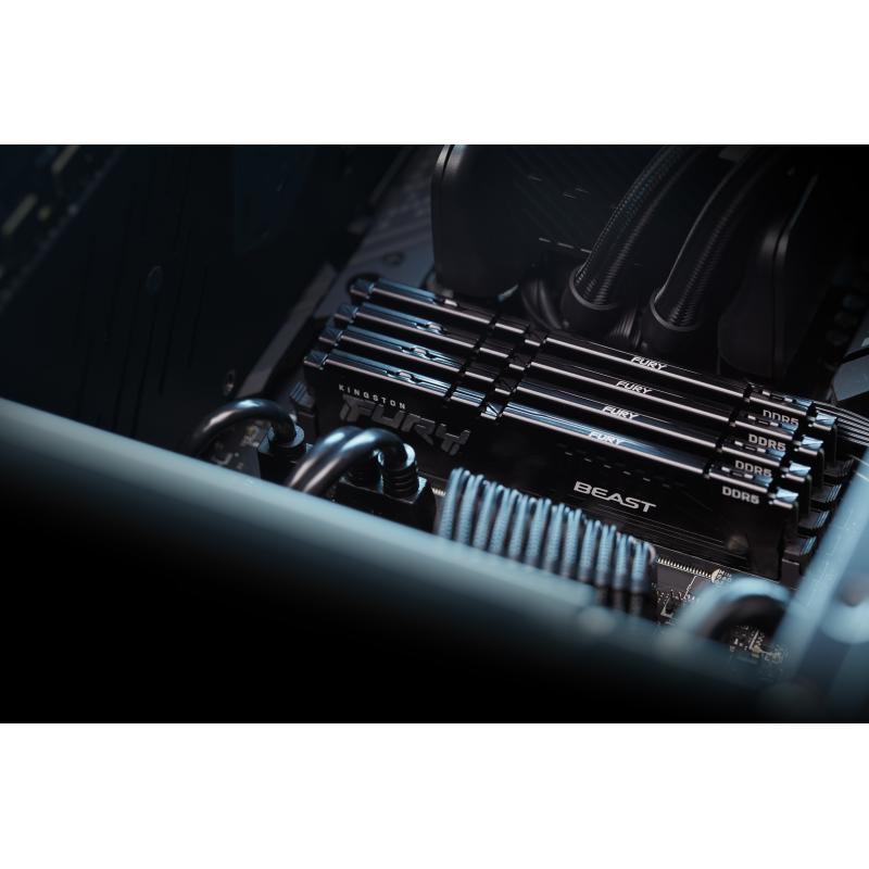 Kingston Fury Beast DDR5 64GB 5600MHz (KF556C36BBE-64) (KF556C36BBE64)