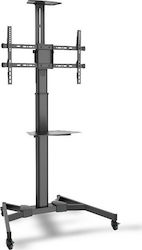 Digitus TV Presentation cart