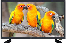 LIN 24LHDD06 HD Ready DVB-T2 Black