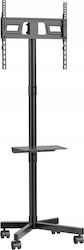Maclean MC-949 TV Cart, Stand, Professional,32-55", on Casters, max. VESA 400x400, max. 25kg