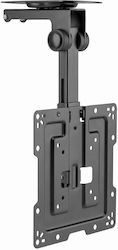 Gembird CM-43ST-01 Full motion TV ceiling mount, 19" - 43", black