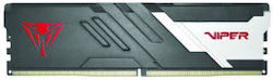 Patriot Memory Viper Venom memory module 8 GB 1 x 8 GB DDR5 6000 MT/s 288-pin DIMM ECC