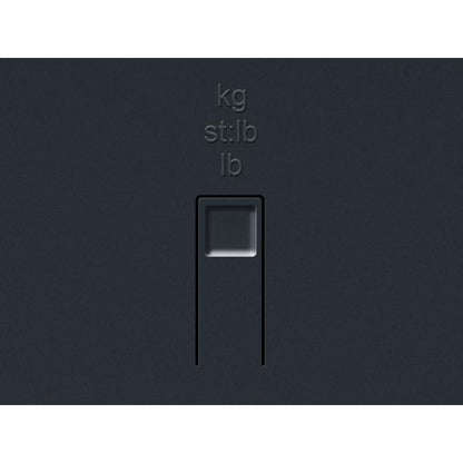 Soehnle Scale PWD Style Sense Safe 300 180kg silver (63867)
