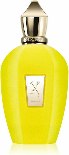 Xerjoff Amabile EDP U 100 ml Tester
